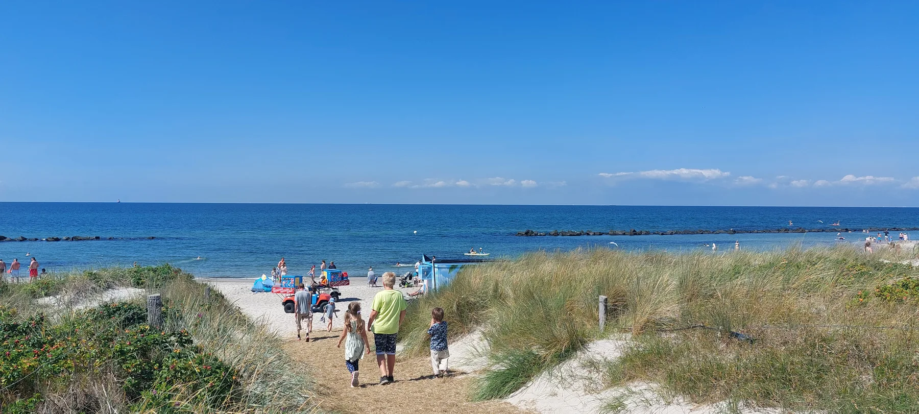 Der Weg durch die Dünen zum Strand