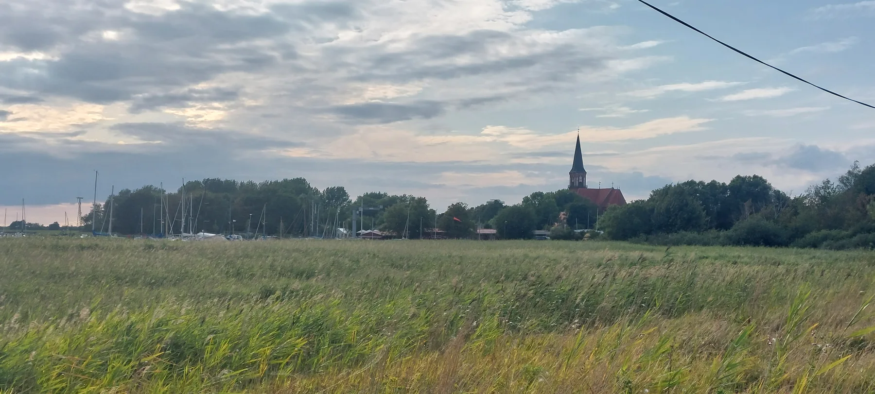 Kirchturm von Wustrow über den Wiesen