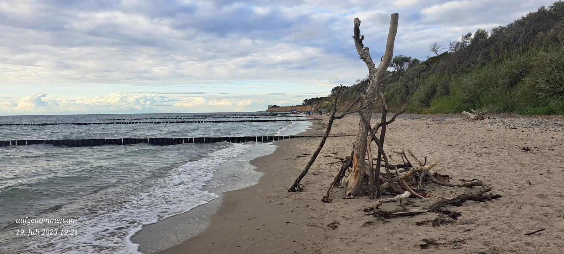 Treibholz am Strand unterhalb der Steilküste