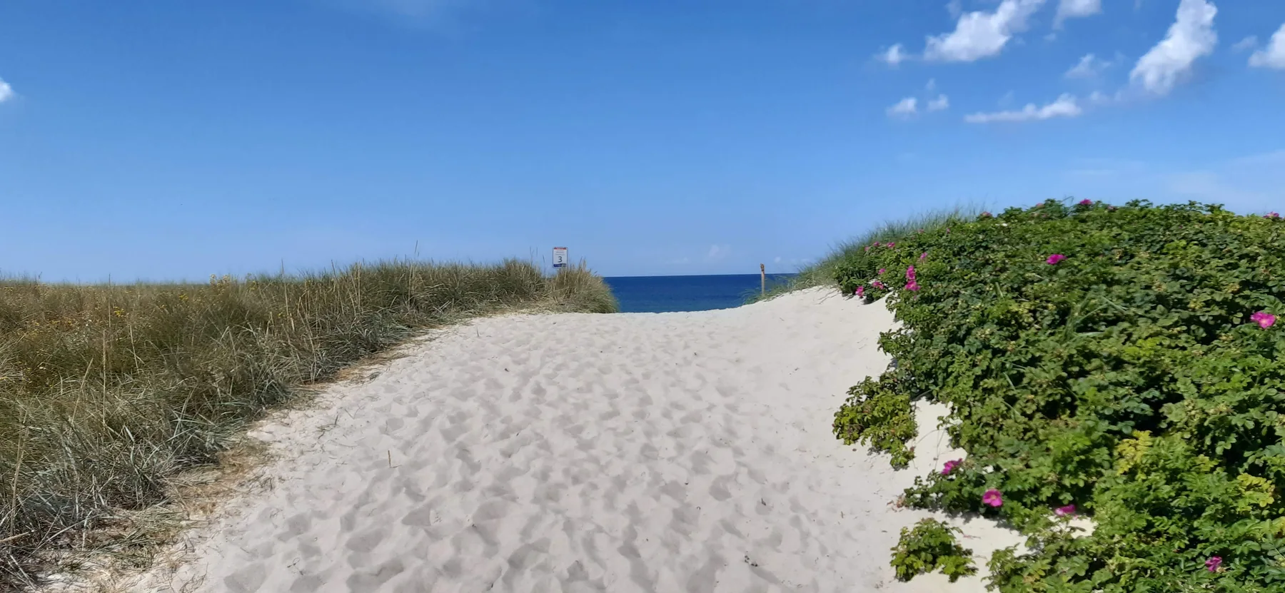 Sandweg durch die Dünen zum Meer
