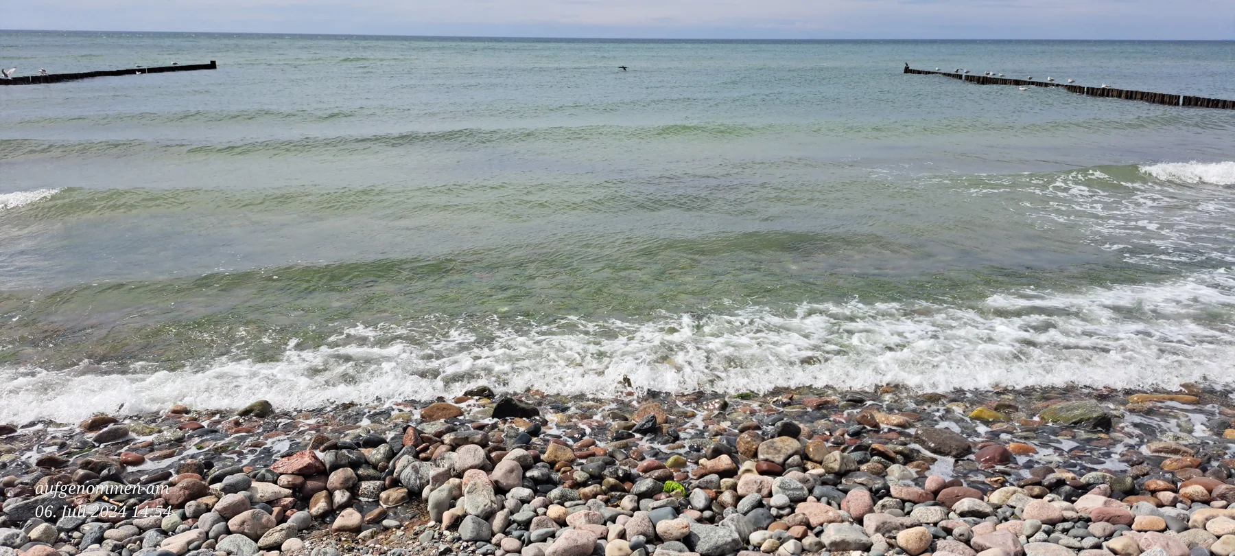 Muscheln und Steine am Wasserrand