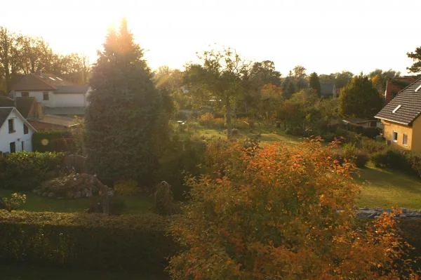 Blick vom Balkon über die angrenzenden Gärten